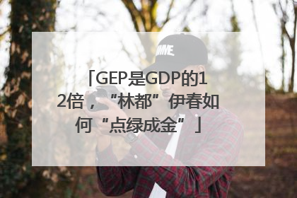 GEP是GDP的12倍，“林都”伊春如何“点绿成金”